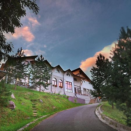 Pensiunea Poiana Verde Slănic-Moldova Buitenkant foto