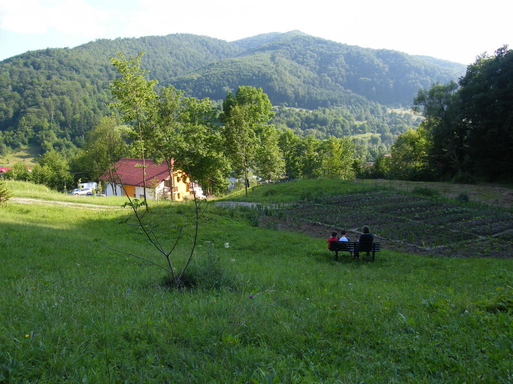 Pensiunea Poiana Verde Slănic-Moldova Buitenkant foto